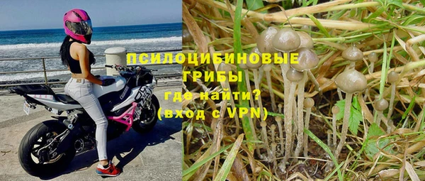 МДПВ Кукмор