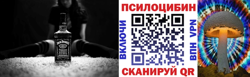 Купить  Якутск  Псилоцибиновые грибы мицелий 